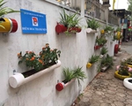 Độc đáo công trình thanh niên: 'Biến điểm tập kết rác thành vườn hoa'