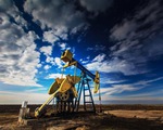 Nga chuẩn bị tham gia kế hoạch đóng băng sản lượng dầu mỏ