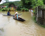 Trung ương Hội Chữ thập đỏ Việt Nam cứu trợ vùng lũ