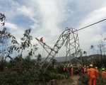 Cảnh báo tai nạn điện và vi phạm hành lang an toàn lưới điện