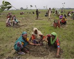 Ấn Độ lập kỷ lục thế giới: Trồng 50 triệu cây trong 24 giờ