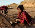 Tình trạng lao động trẻ em tại Iraq
