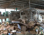 Bắt quả tang nhà máy giấy xả nước thải ra môi trường tại Lâm Đồng