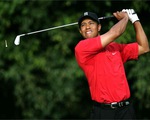 Tiger Woods và tham vọng trở lại đỉnh cao