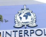 Interpol điều tra đường dây cá cược bóng đá tại Singapore