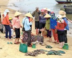 Quảng Bình: Ngư dân khó tiêu thụ hải sản xa bờ sau sự cố môi trường