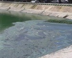 Hơn 1.000 hồ ở Hà Nội bị ô nhiễm trầm trọng
