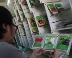 Người tiêu dùng “loạn” với hạt giống trồng rau mầm