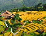 Ruộng bậc thang Việt Nam vào danh sách cảnh quan 'đẹp đến khó tin'