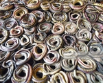 Góc khuất kinh hoàng của ngành công nghiệp thời trang da rắn tại Indonesia
