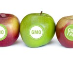 Mỹ dán nhãn thực phẩm biến đổi gen