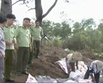 Thái Nguyên: Bắt và tiêu hủy 260 kg lòng lợn ôi thiu, biến màu