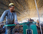 Cắt giảm nhân công - tương lai ảm đạm cho lao động Trung Quốc