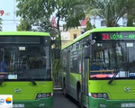 Ngày 10/12, Đà Nẵng khai trương 5 tuyến xe bus trợ giá