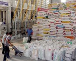 Trung Quốc kiểm tra 31 doanh nghiệp xuất khẩu gạo Việt Nam