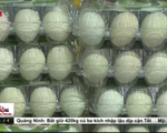Tăng hạn ngạch nhập khẩu trứng từ liên minh kinh tế Á–Âu