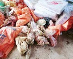 Hà Tĩnh: Phát hiện gần 1,2 tấn thực phẩm quá hạn