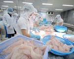 Việt Nam đã chủ động về giá xuất khẩu cá tra