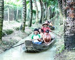 Trải nghiệm thú vị tại vườn dừa ở cù lao Tân Lộc, Cần Thơ