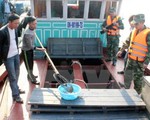 Quảng Ninh bắt vụ vận chuyển 6.000 con cá song không rõ nguồn gốc