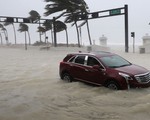 Siêu bão Irma 'trút cuồng nộ' ở Florida, ít nhất 4 người thiệt mạng