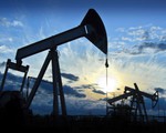 Cổ phiếu ngành dầu mỏ Mỹ dẫn đầu danh sách sụt giảm năm 2017