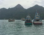 Côn Đảo: Cưỡng chế 120 ngư dân không chịu vào tránh bão