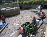7 tấn rác/ngày trên kênh Nhiêu Lộc - Thị Nghè (TP.HCM) dịp Tết