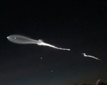 SpaceX phóng tên lửa ' Chim Ưng 9' tạo vệt sáng làm chao đảo mạng xã hội