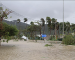 Tìm nguyên nhân gây thiệt hại nặng do bão số 12 tại Khánh Hòa