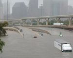 Siêu bão Harvey gây thiệt hại kinh tế nghiêm trọng ở bang Texas, Mỹ