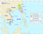 Các tỉnh Quảng Ninh đến Phú Yên chủ động ứng phó diễn biến bão số 9