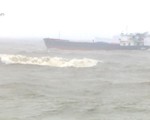 Bão số 12 đánh chìm 6 tàu hàng ở Bình Định, 26 thuyền viên mất tích