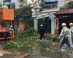 Bình Định: Nhiều vùng ở huyện An Lão vẫn bị chia cắt sau bão số 12