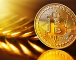 Tiền ảo Bitcoin bất ngờ sụt giảm mạnh