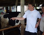 Tập huấn kỹ thuật chăn nuôi bò sữa