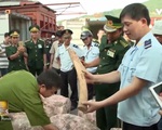 Việt Nam - Vương quốc Anh chung tay chống buôn bán động vật hoang dã