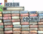 Liên Hợp Quốc cảnh báo thị trường ma túy thế giới phát triển mạnh