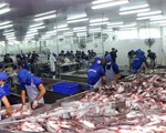 VASEP phản đối Hoa Kỳ áp thuế 'vô lý' với cá tra phi lê đông lạnh Việt Nam