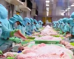 Kiểm soát sản phẩm cá da trơn - Giải pháp tối ưu để xuất khẩu sang Mỹ