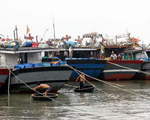 Bình Thuận, TP.HCM cấm tàu thuyền ra khơi