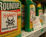 Nghị viện châu Âu bỏ phiếu cấm thuốc diệt cỏ Glyphosate