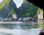 VTVTrip: Vịnh Lan Hạ - Bức phù điêu thiên tạo đẹp tuyệt vời