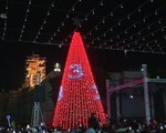 Chiêm ngưỡng cây thông Noel khổng lồ ở Bethlehem