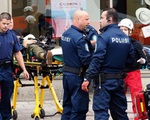 Cảnh sát Phần Lan thẩm vấn nghi can chính vụ tấn công bằng dao