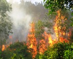 Mưa lớn diện rộng làm giảm nguy cơ cháy rừng ở Vĩnh Phúc