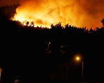 Cháy rừng tại Bolivia khiến hàng chục người thương vong