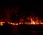 Thương vong kỷ lục do cháy rừng tại Mỹ