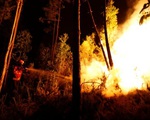 Cháy rừng ở Bồ Đào Nha: Số người chết liên tục gia tăng