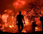 Mỹ: Vùng sản xuất rượu vang của California hóa thành tro vì cháy rừng